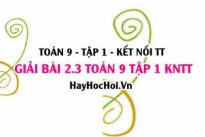 Bài 2.3 Toán 9 tập 1 SGK Kết nối tri thức